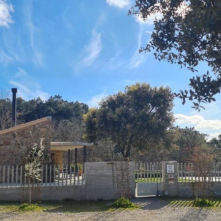 Casa Rural Madre Del Agua. Finca El Robledillo Монестерио Екстериор снимка